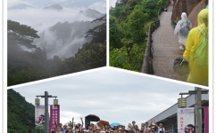 青山绿水一路歌，，，，，，仁和伴我闯天涯！