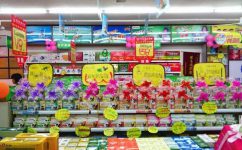 AG8亚洲国际游戏集团_首页官网