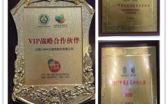 AG8亚洲国际游戏集团_首页官网