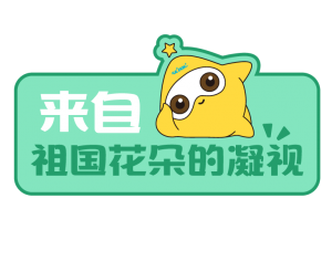 AG8亚洲国际游戏集团_首页官网