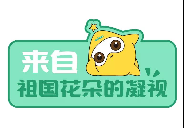 AG8亚洲国际游戏集团_首页官网