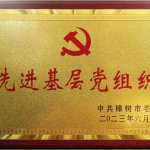 喜报！AG8亚洲国际党支部荣获市“先进基层党组织”称号